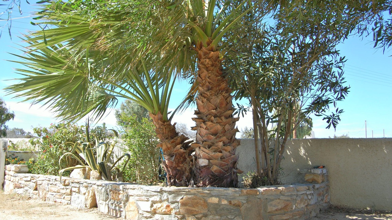 Photo of Outdoor in Mikri Vigla