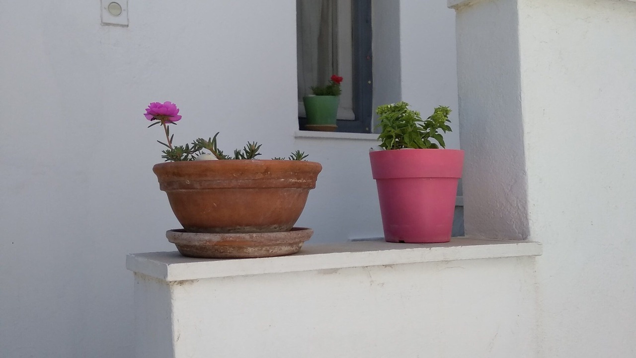 Photo of Patio Balcony in Chrissi Akti