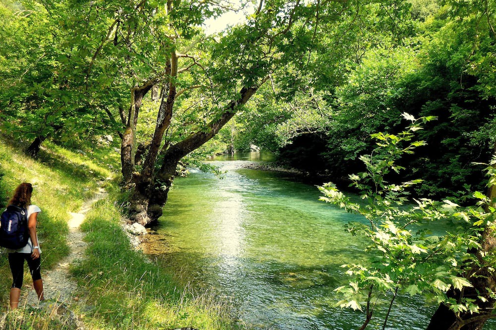 Photo of Outdoor in Papigo