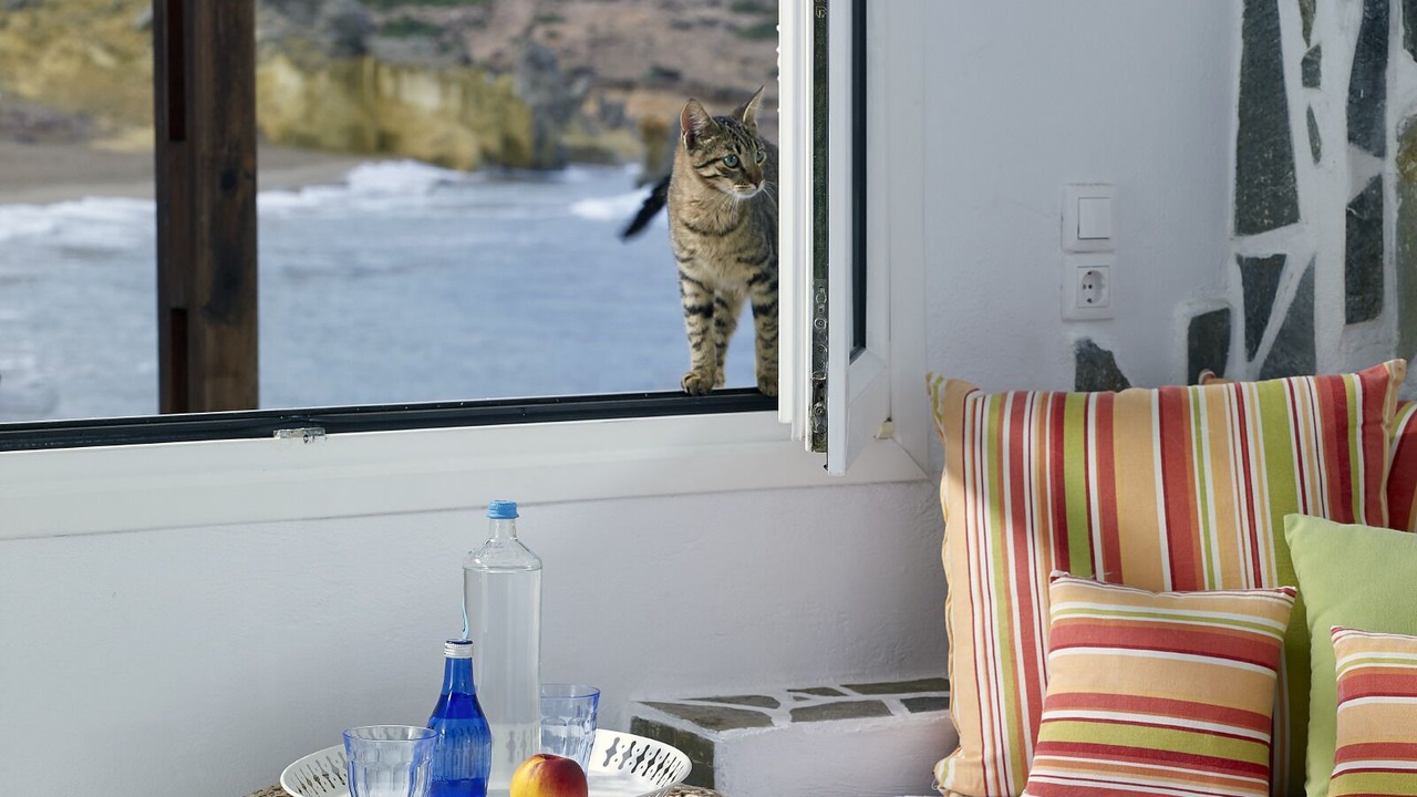 Photo of Outdoor in Pachena