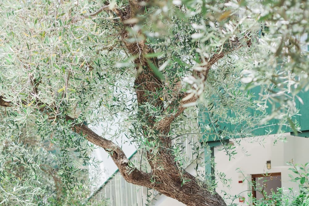 Photo of Others in Agios Nikitas