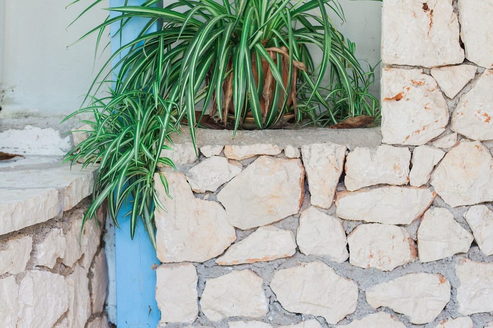 Photo of Others in Agios Nikitas