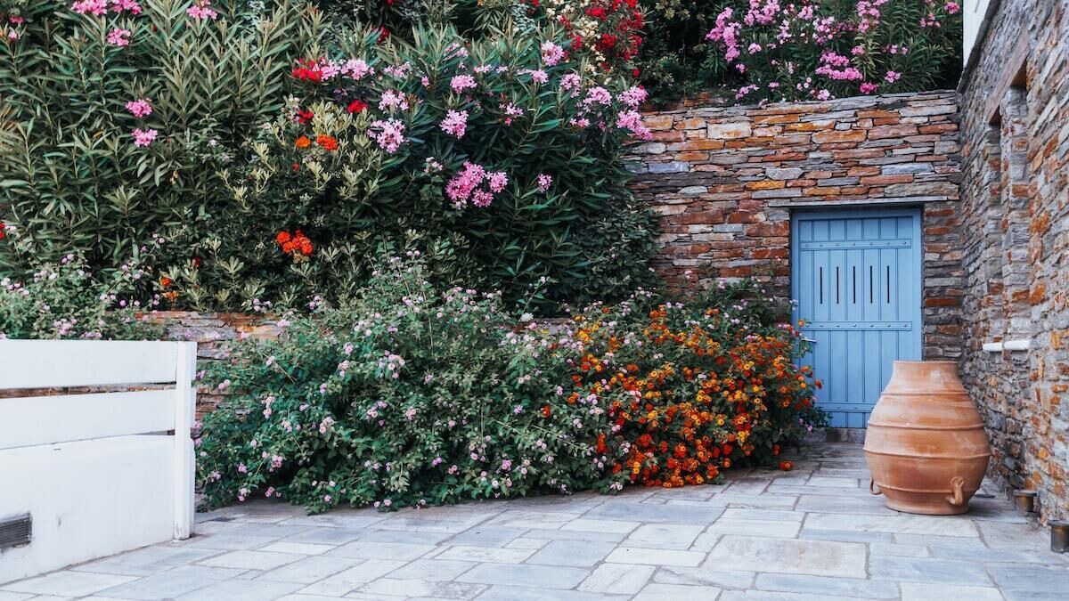 Photo of Outdoor in Steniai