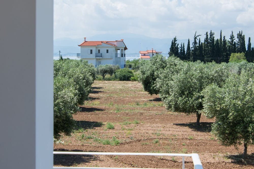 Photo of Outdoor in Eretria