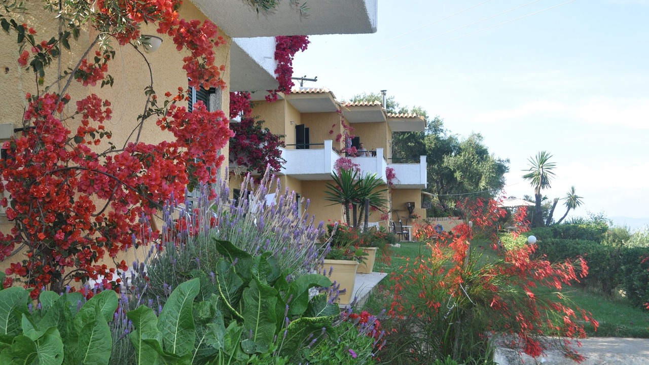 Photo of Outdoor in Moraitika