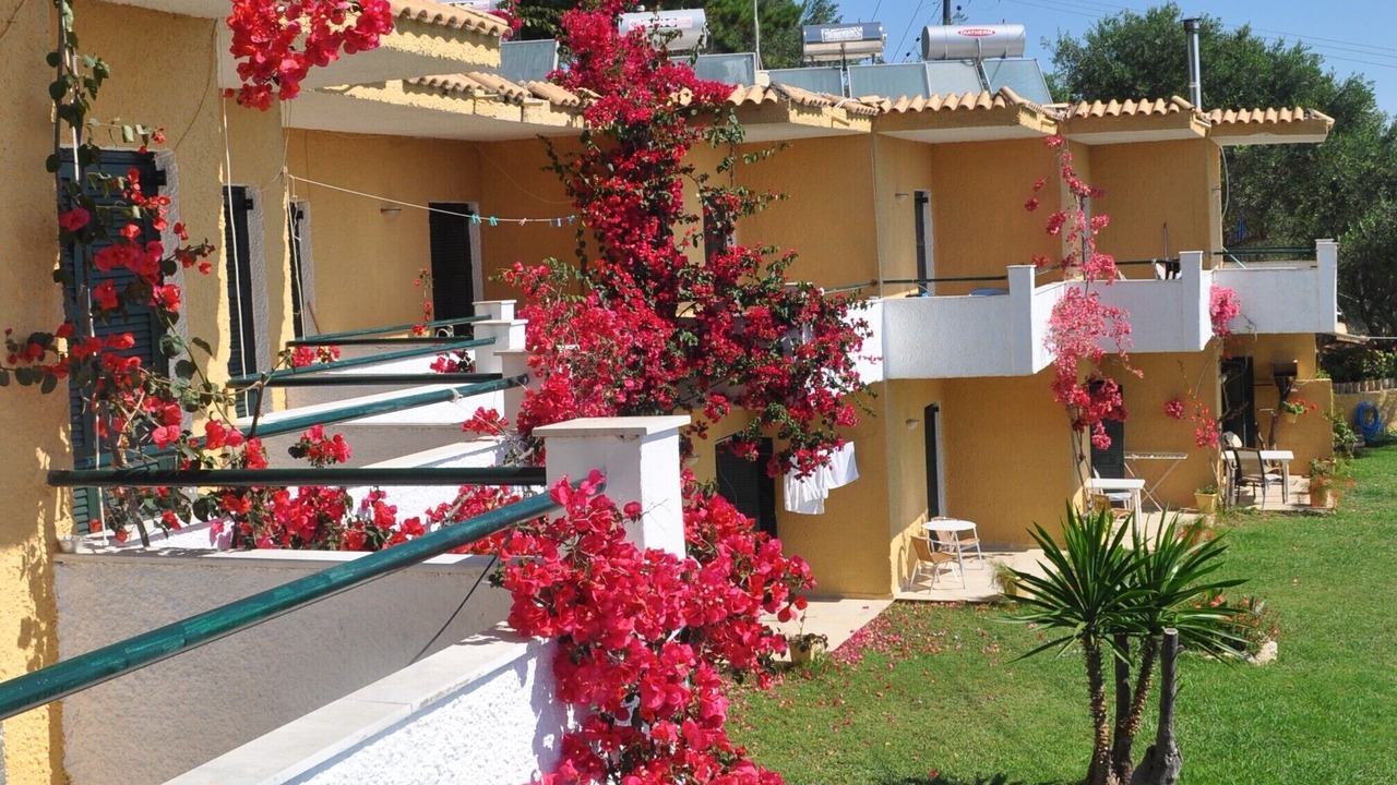 Photo of Outdoor in Moraitika