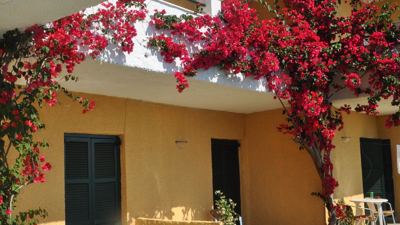 Photo of Outdoor in Moraitika