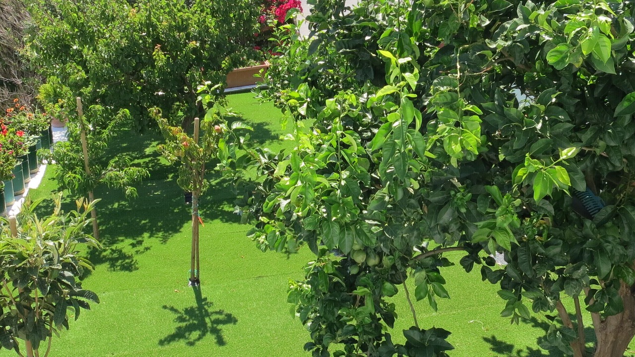Photo of Patio Balcony in Pitrofos