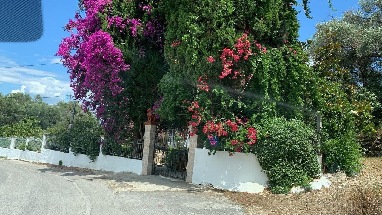 Photo of Outdoor in Argyrades