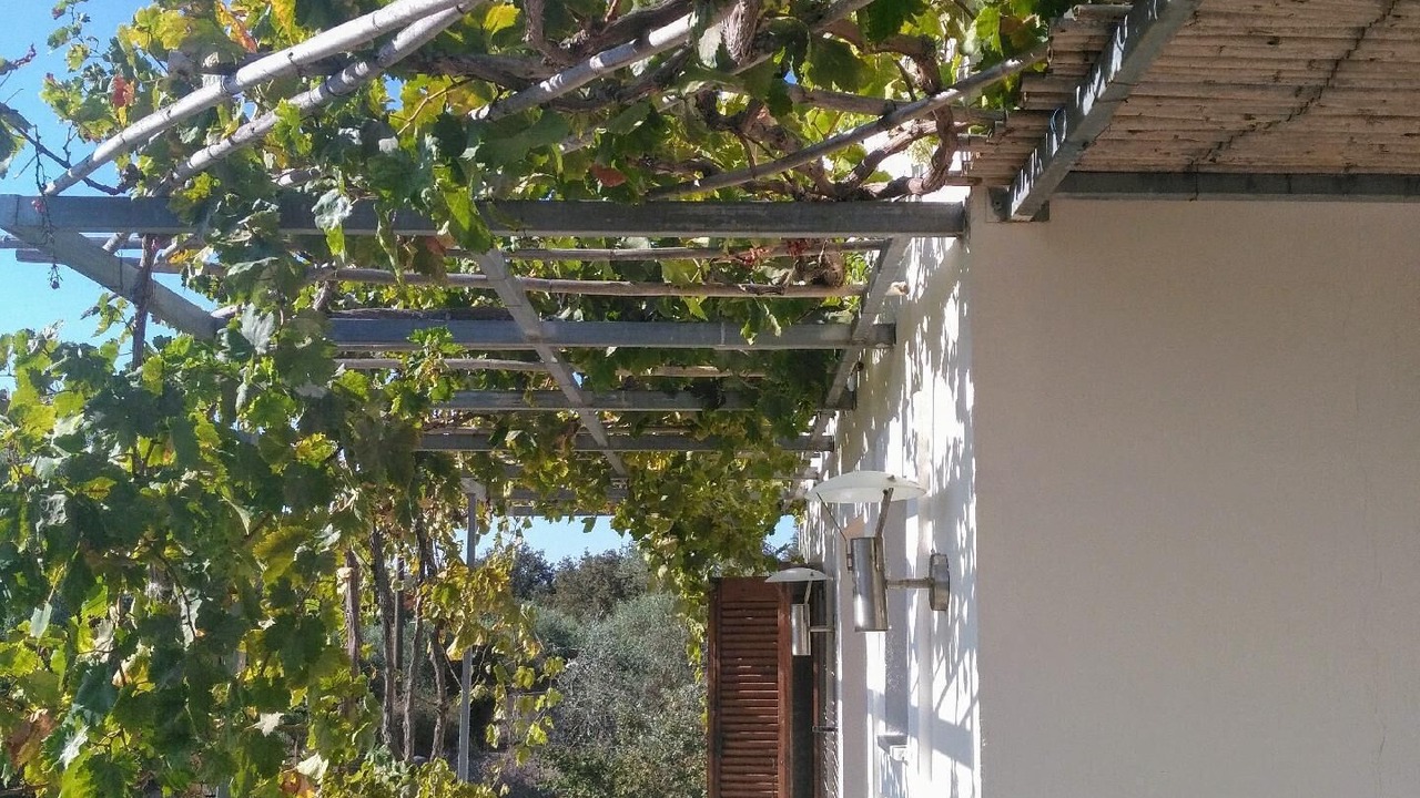 Photo of Outdoor in Monopari