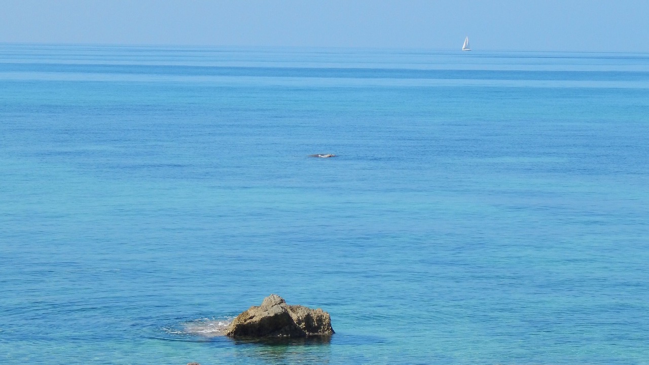Photo of Others in Preveza