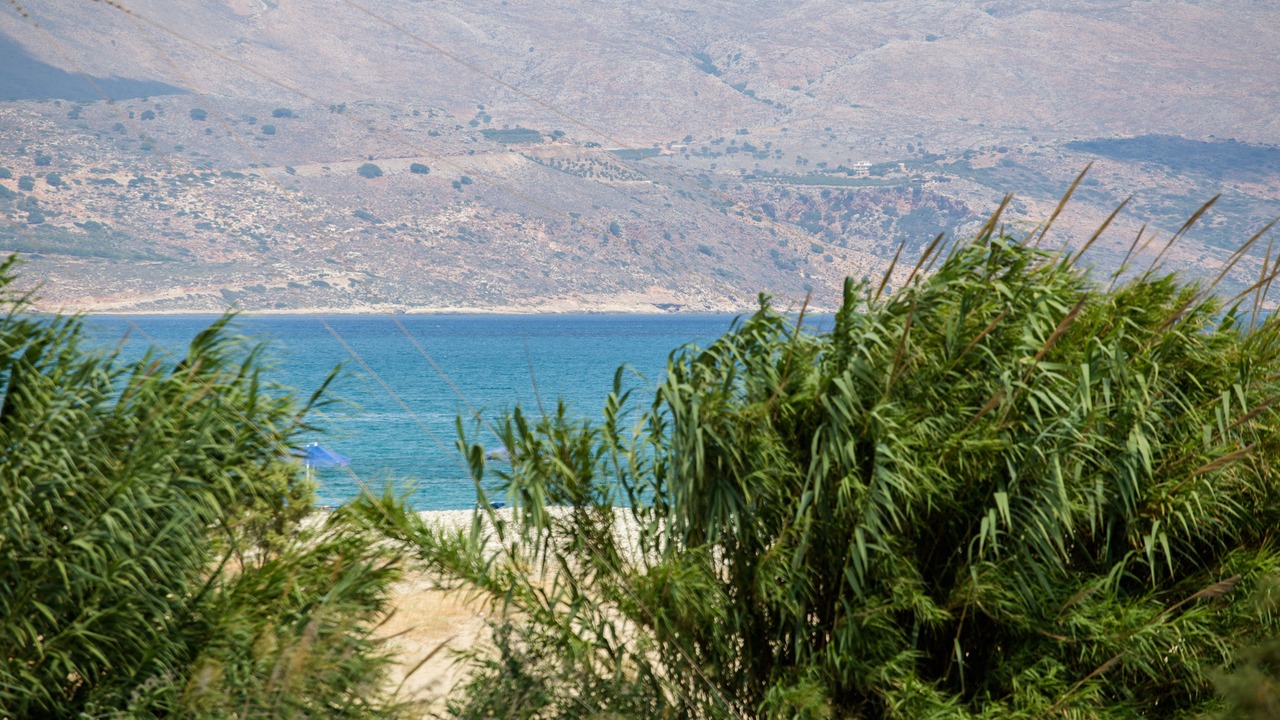 Photo of Others in Kamisiana