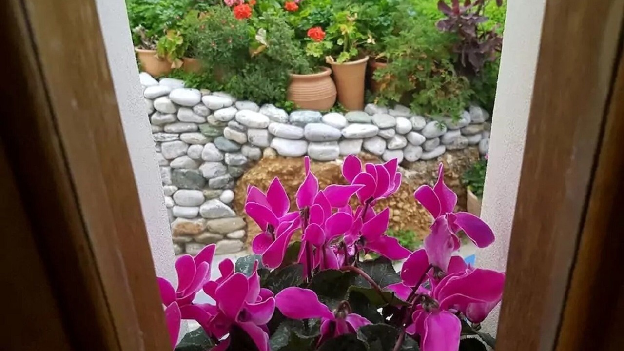 Photo of Outdoor in Mochlos