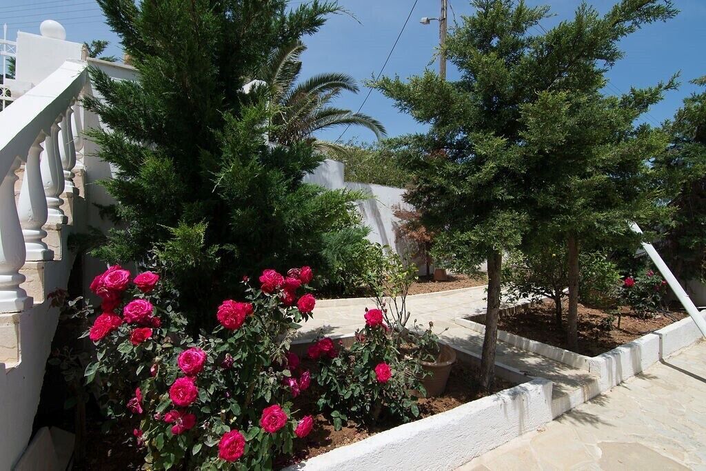 Photo of Outdoor in Achlia