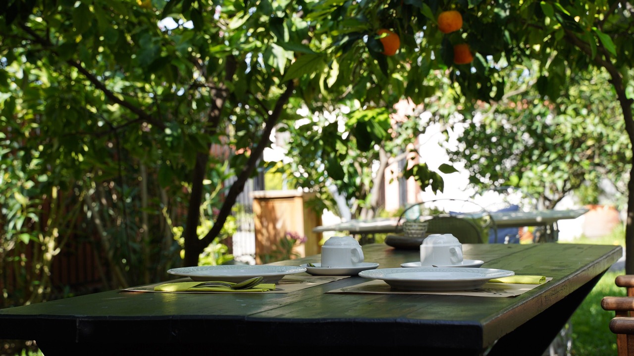 Photo of Others in Paradhisos