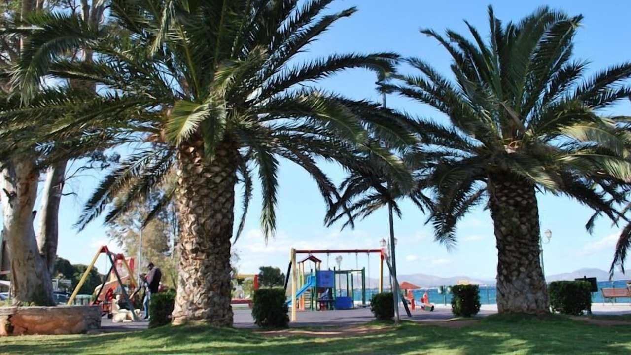 Photo of Outdoor in Nea Makri
