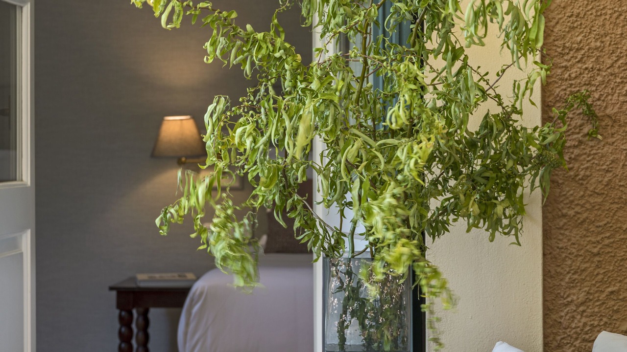 Photo of Patio Balcony in Kifisia
