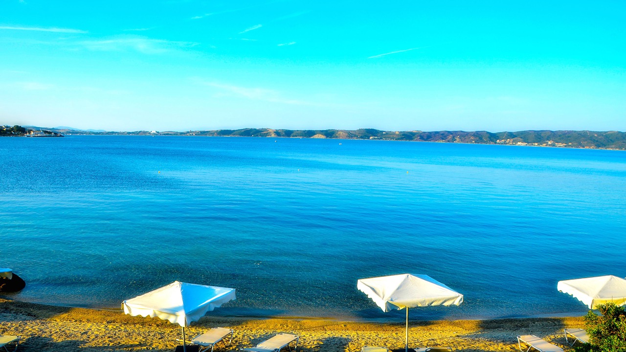 Photo of Others in Aristotelis