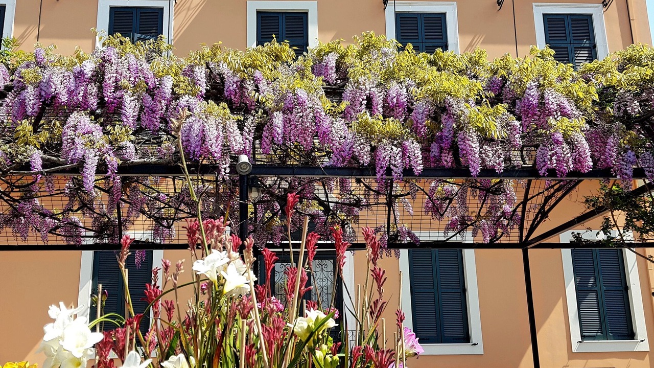 Photo of Patio Balcony in Old Town