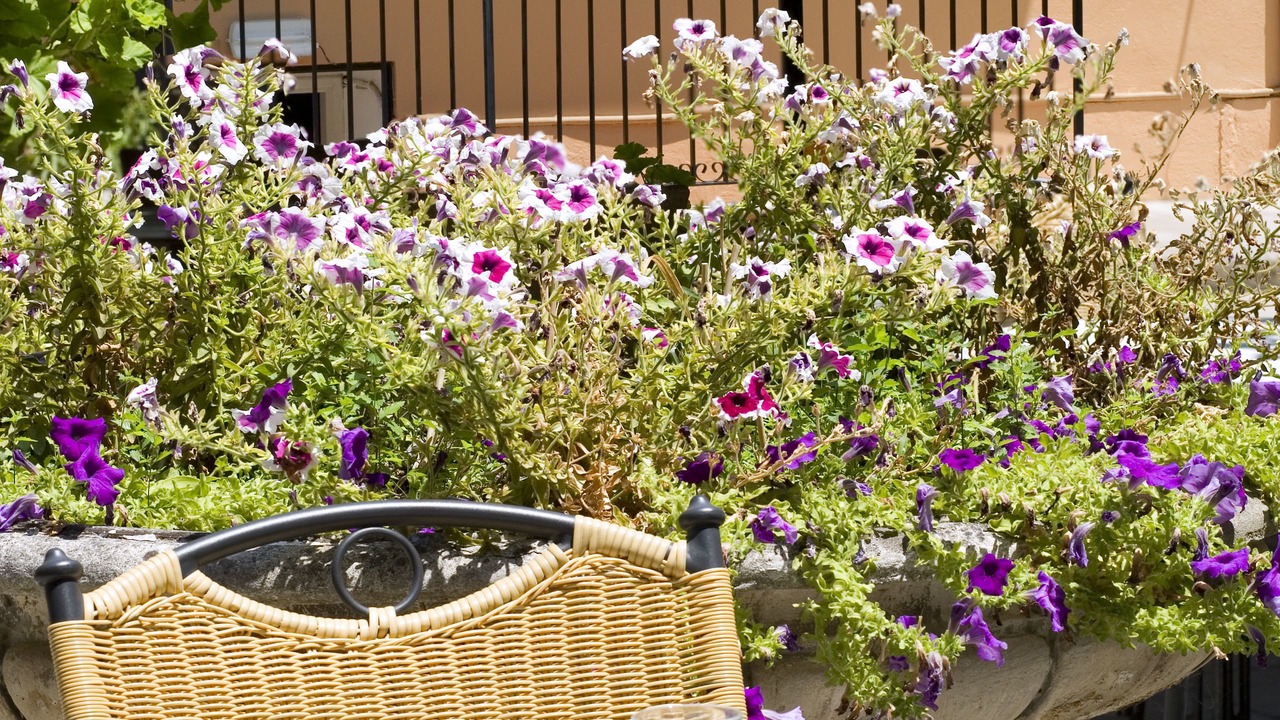 Photo of Patio Balcony in Old Town