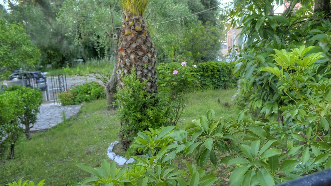 Photo of Others in Benitses