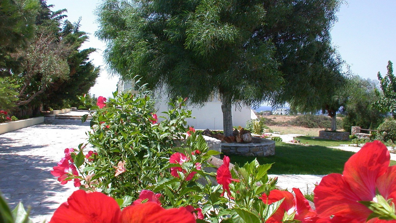 Photo of Outdoor in Naxos