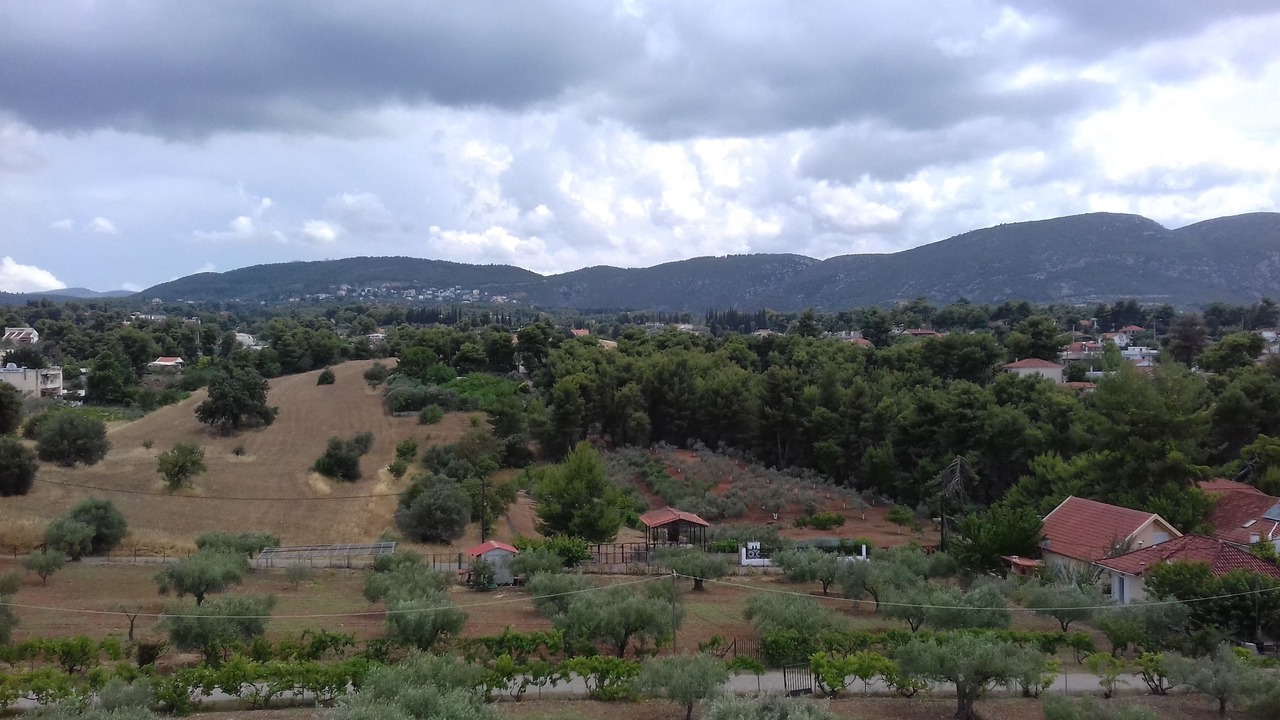 Photo of Others in Skala Oropou