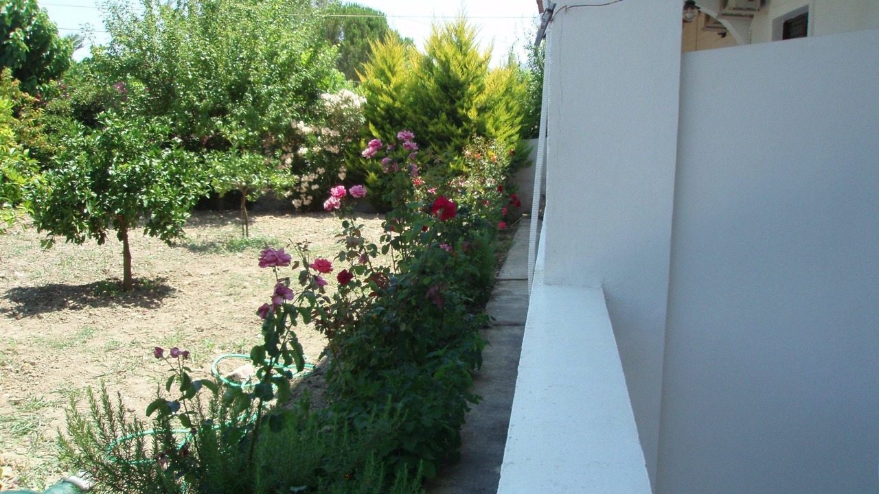 Photo of Outdoor in Agrilia