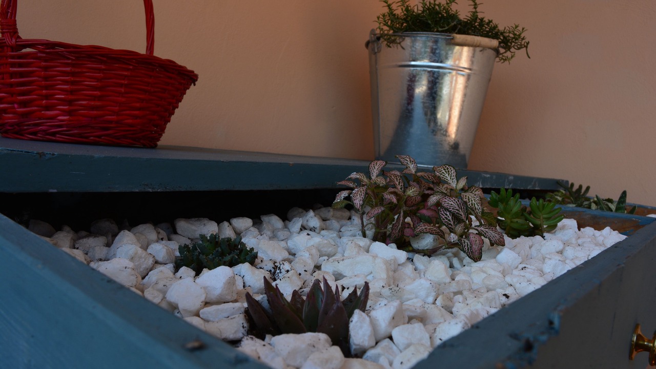 Photo of Outdoor in Vamos