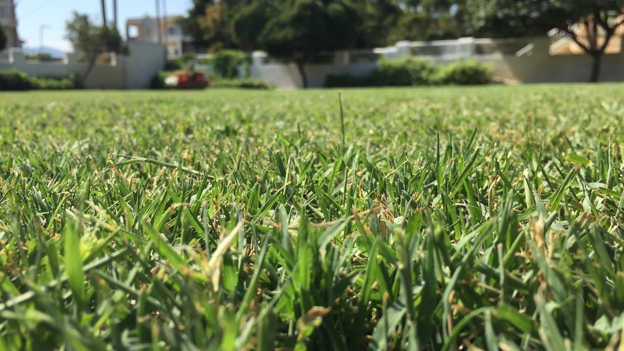 Photo of Outdoor in Velon