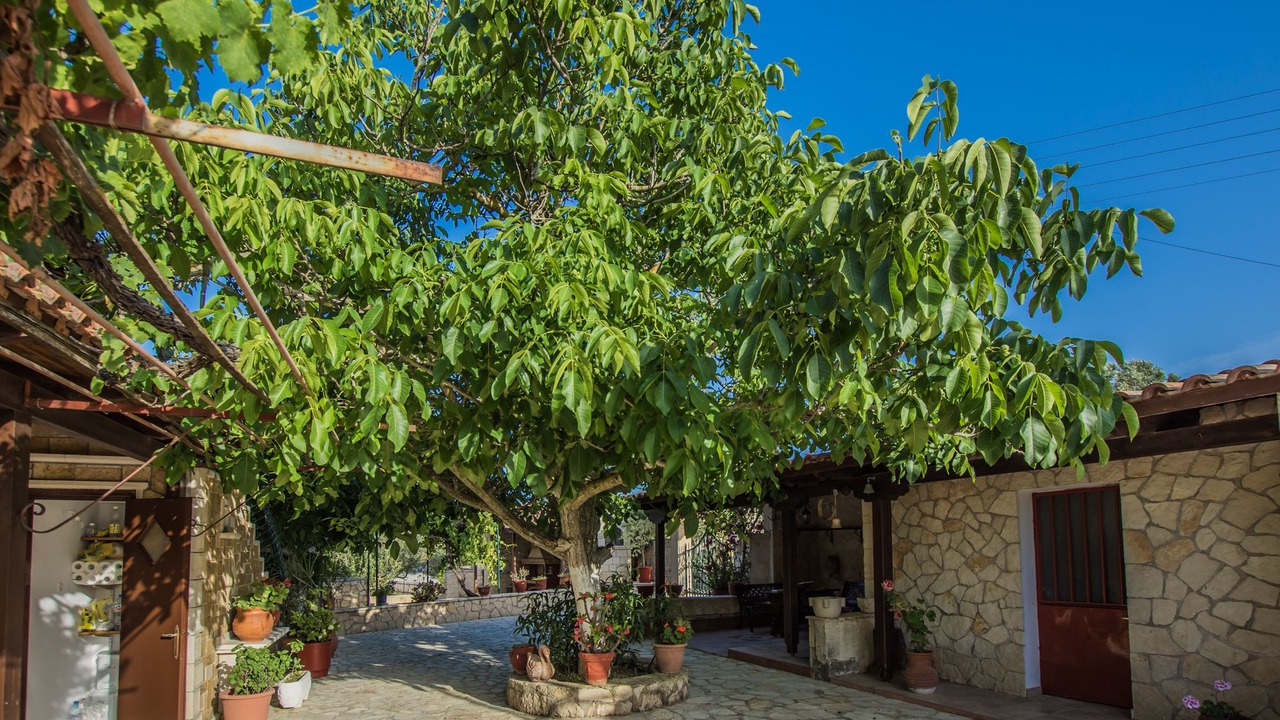 Photo of Outdoor in Kypseli