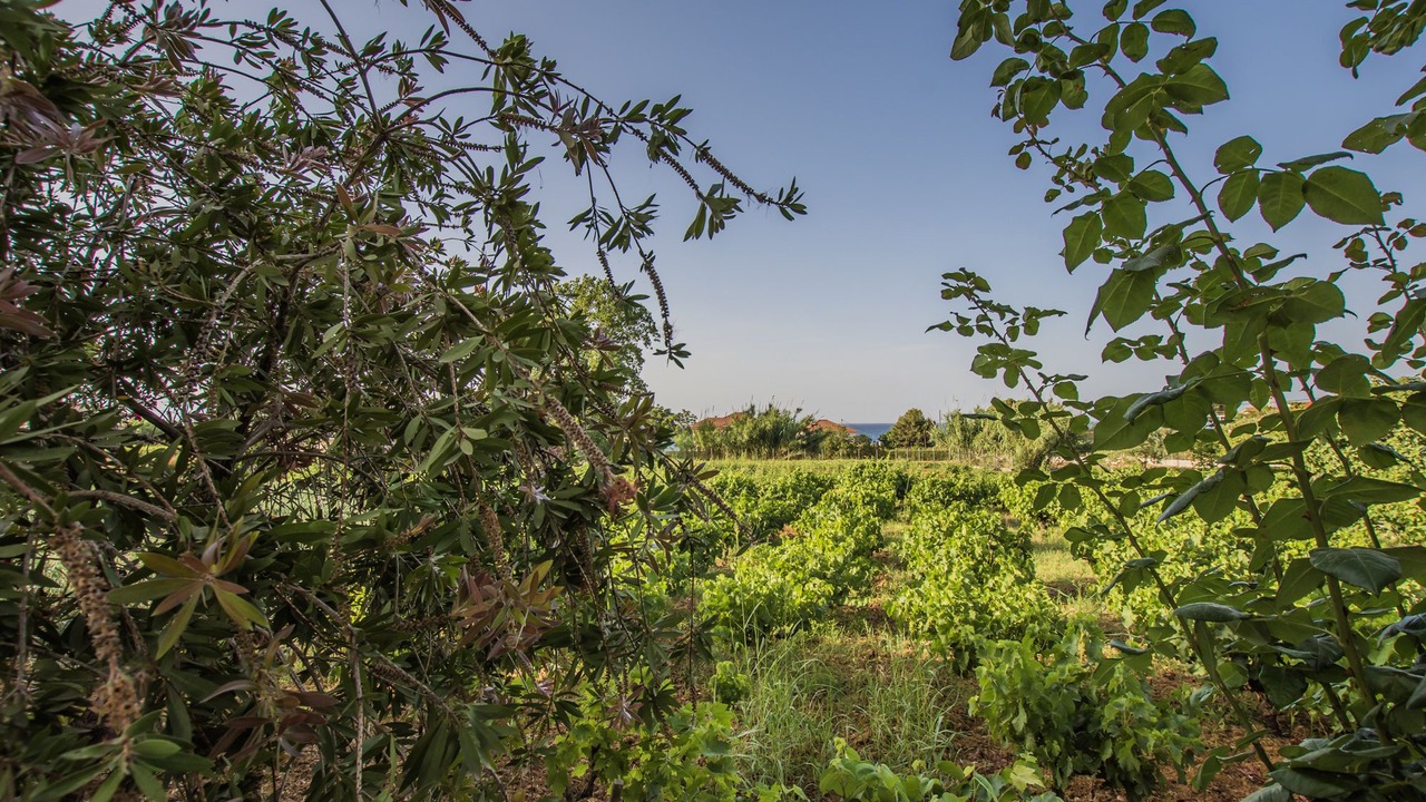 Photo of Outdoor in Kypseli