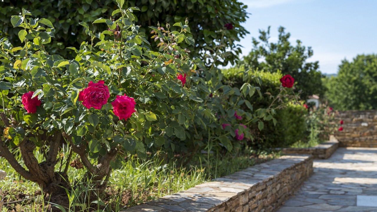 Photo of Outdoor in Platania