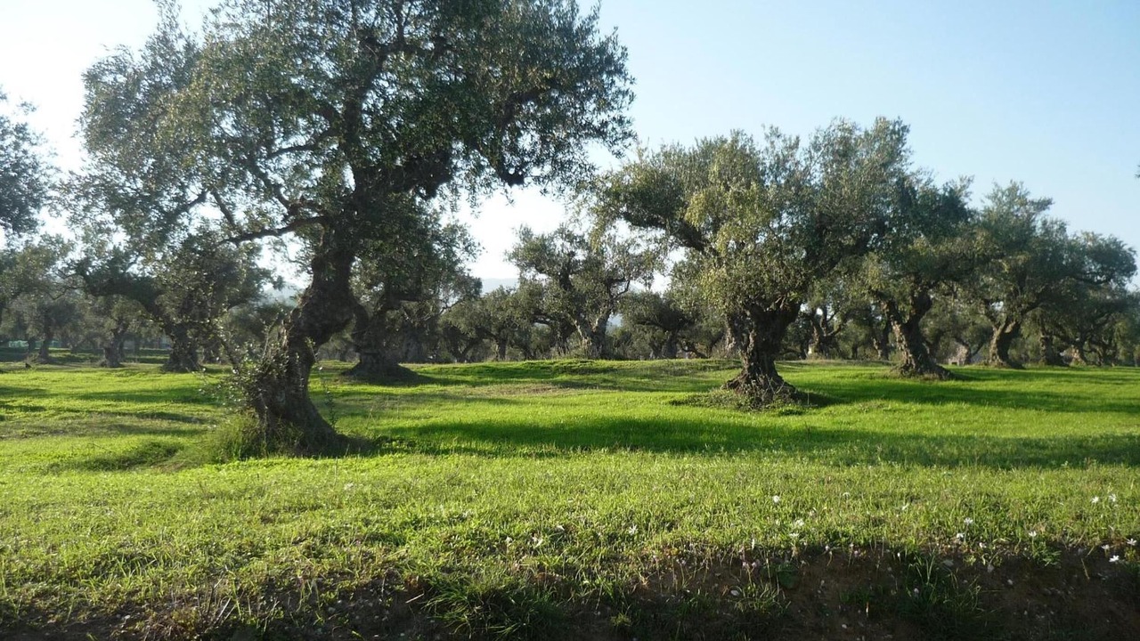 Photo of Outdoor in Vasilikos