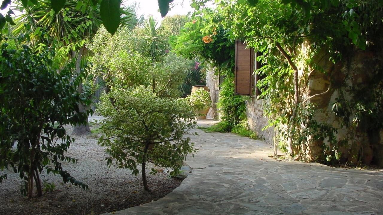Photo of Outdoor in Vasilikos
