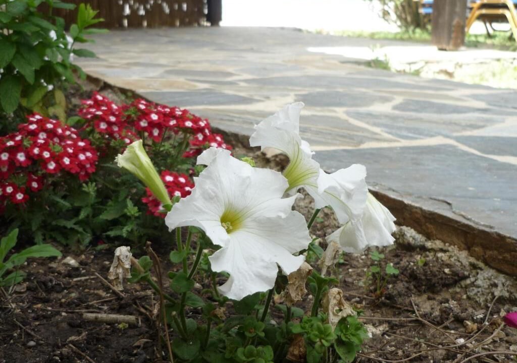 Photo of Outdoor in Vasilikos