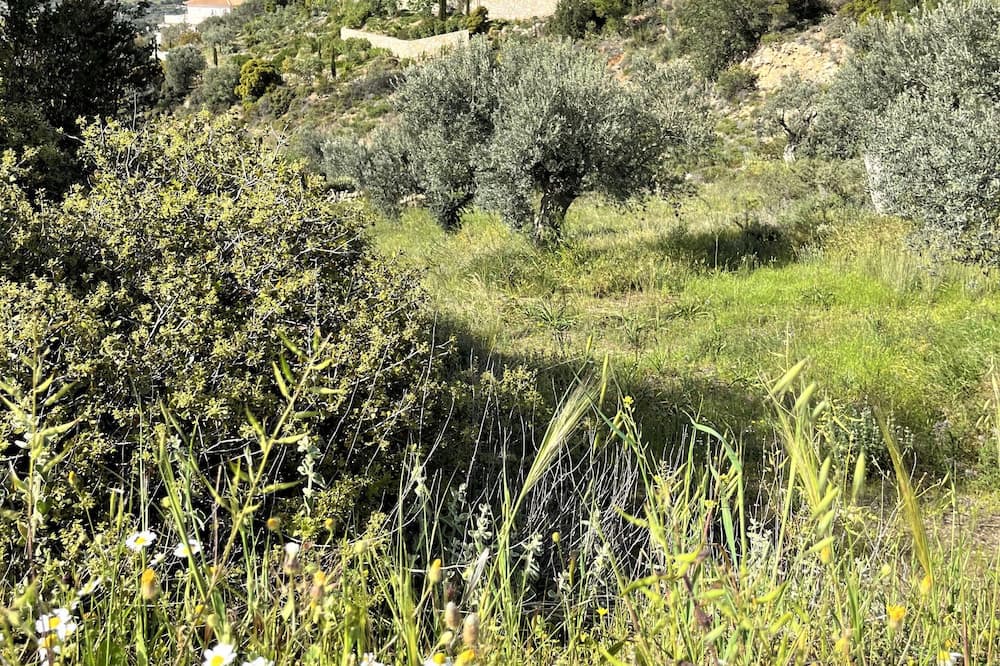 Photo of Outdoor in Kranidi