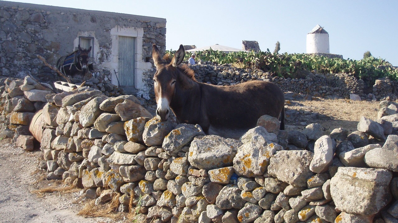 Photo of Outdoor in Pefki