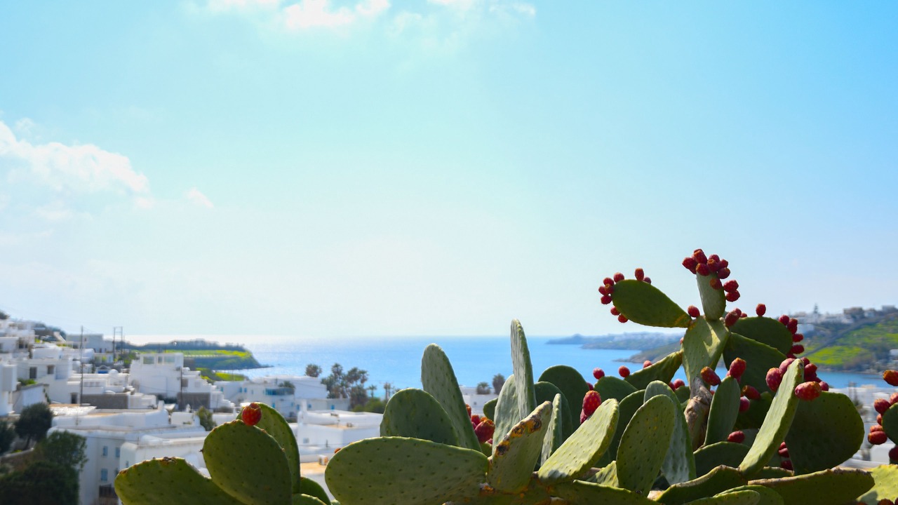 Photo of Outdoor in Ornos