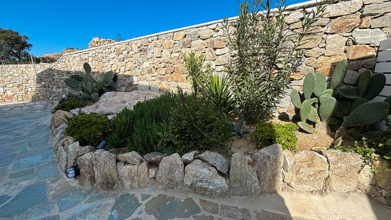 Photo of Outdoor in Ornos