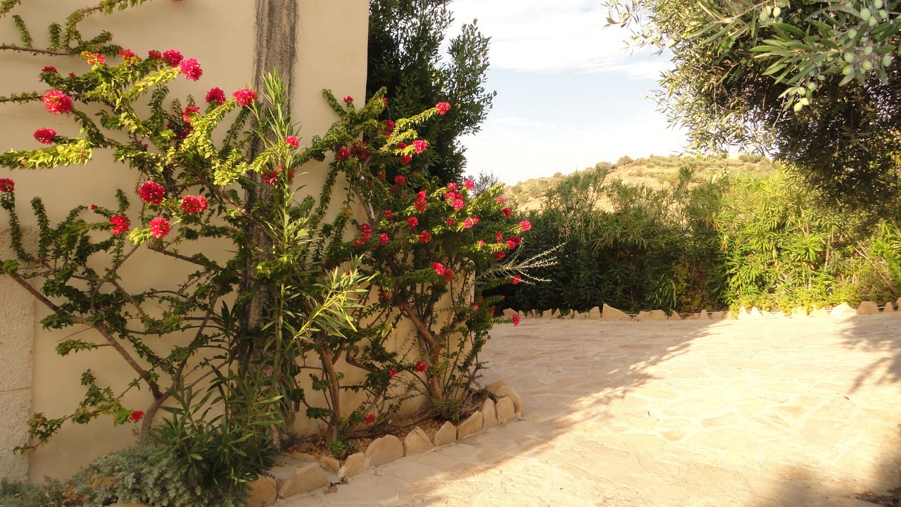 Photo of Outdoor in Faistos