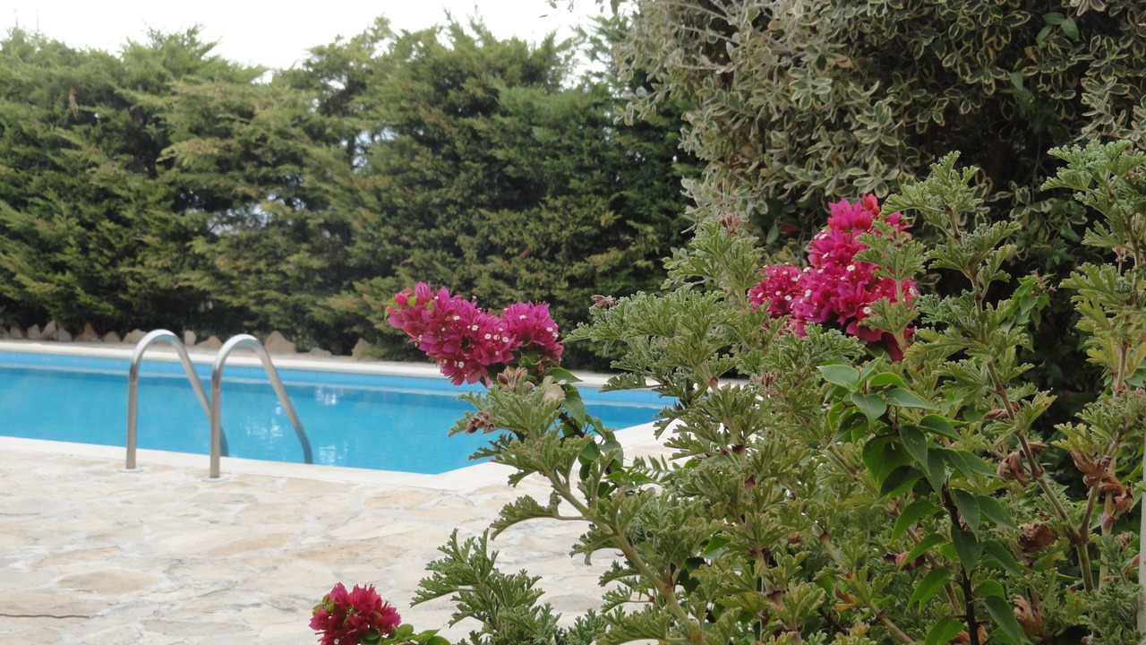 Photo of Outdoor in Faistos