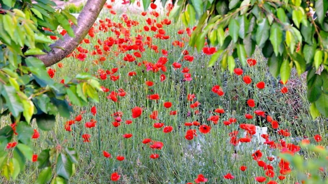 Photo of Outdoor in Krinidhes