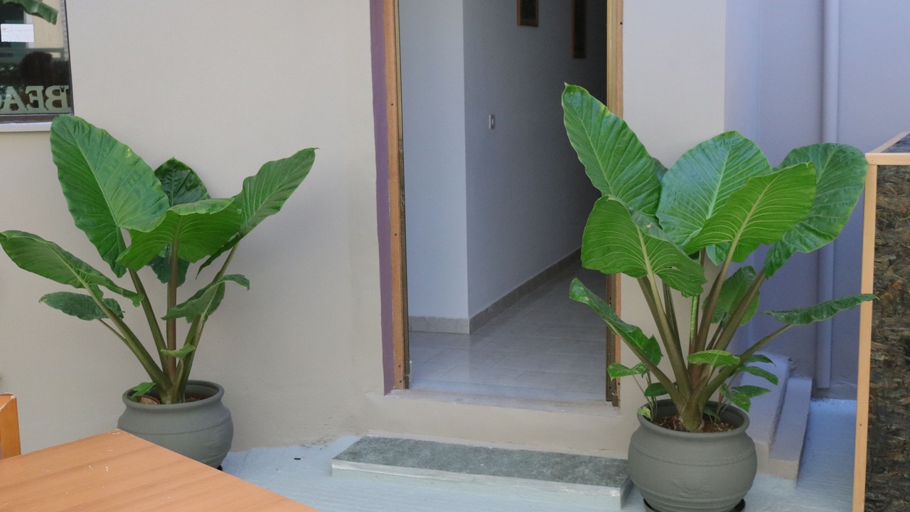 Photo of Patio Balcony in Poros