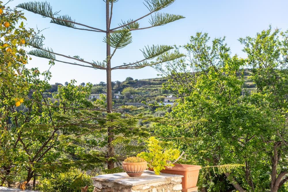 Photo of Outdoor in Naxos