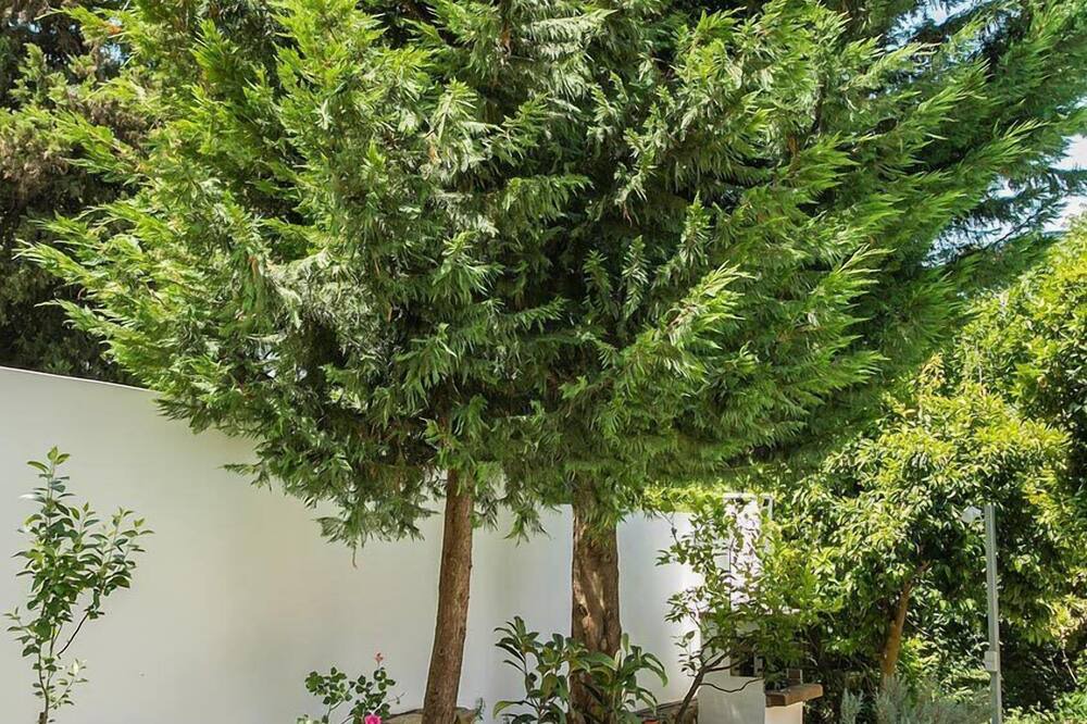 Photo of Outdoor in Armenoi