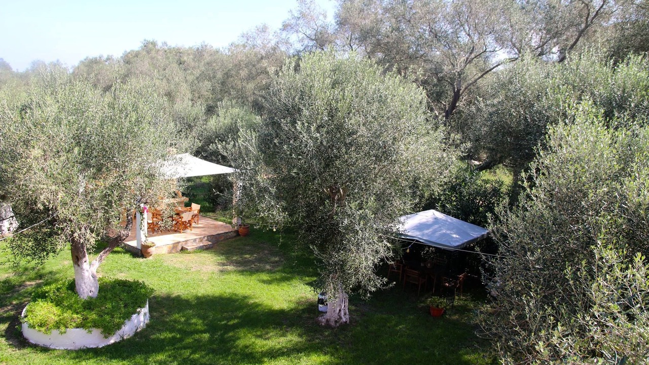 Photo of Outdoor in Notos