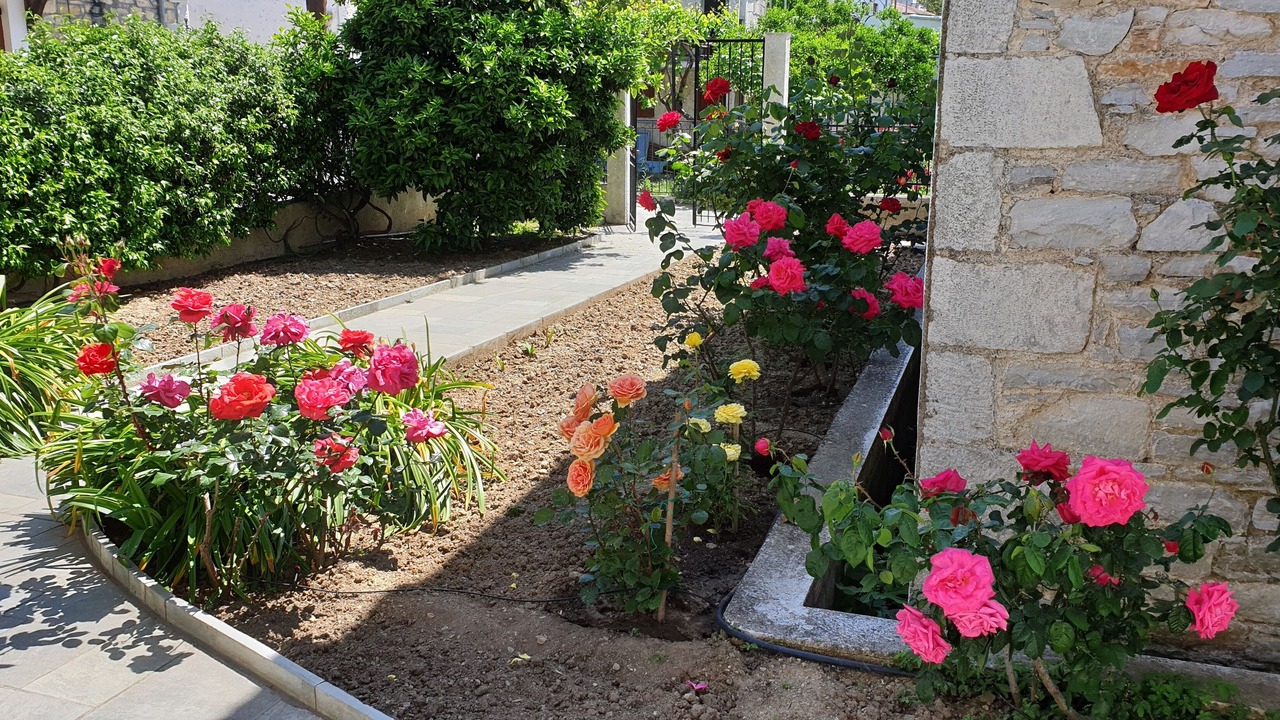Photo of Outdoor in Horto