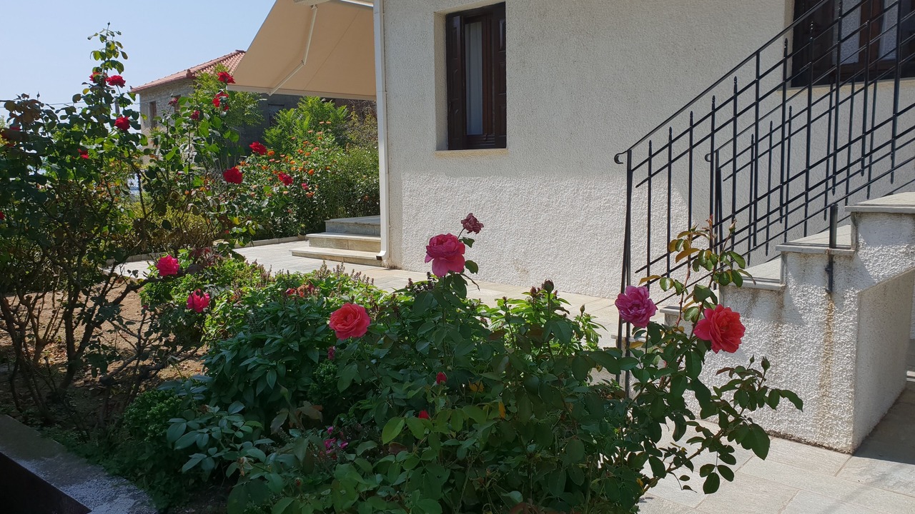Photo of Outdoor in Horto