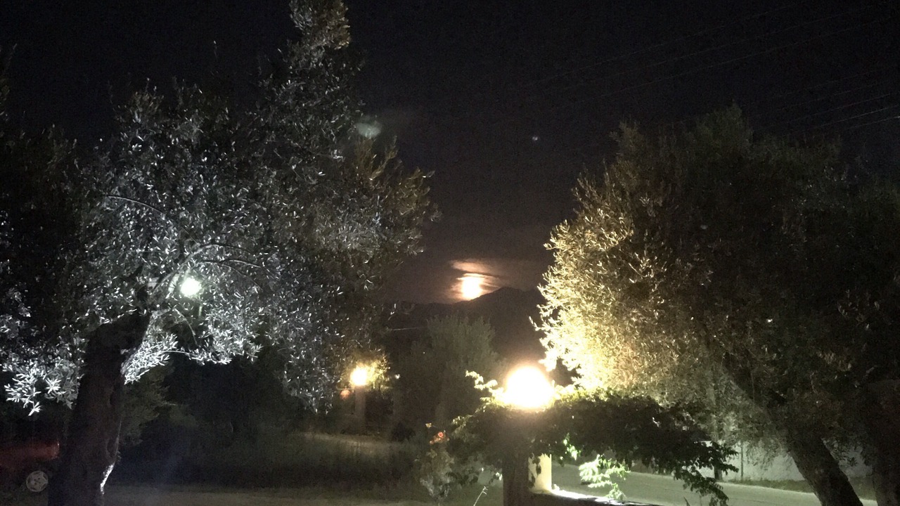 Photo of Outdoor in Roda